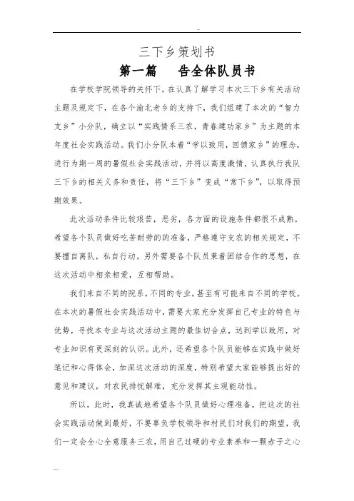 三下乡项目策划书