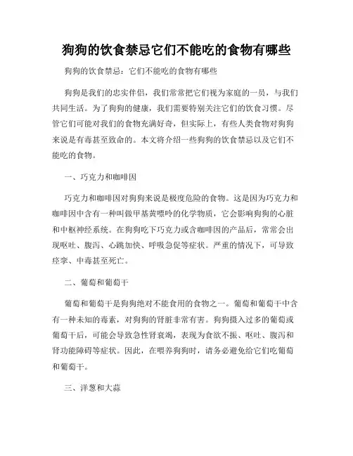 狗狗的饮食禁忌它们不能吃的食物有哪些