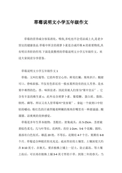 (说明文)草莓说明文小学五年级作文