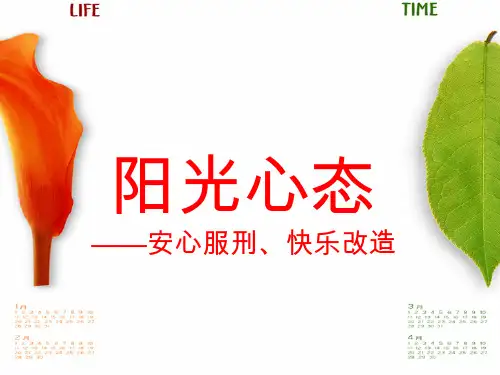 服刑人员 心理健康 PPT课件