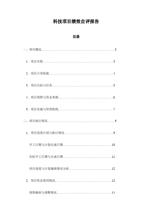 科技项目绩效自评报告