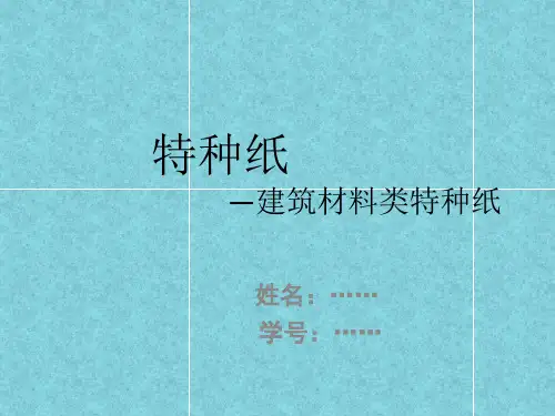 特种纸