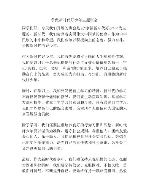 争做新时代好少年主题班会