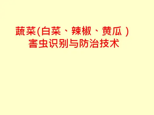 蔬菜虫害防治