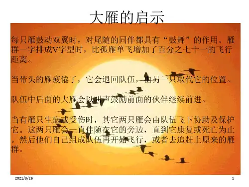 《大雁团队故事》PPT课件