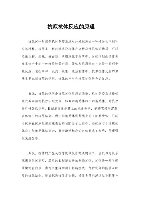 抗原抗体反应的原理