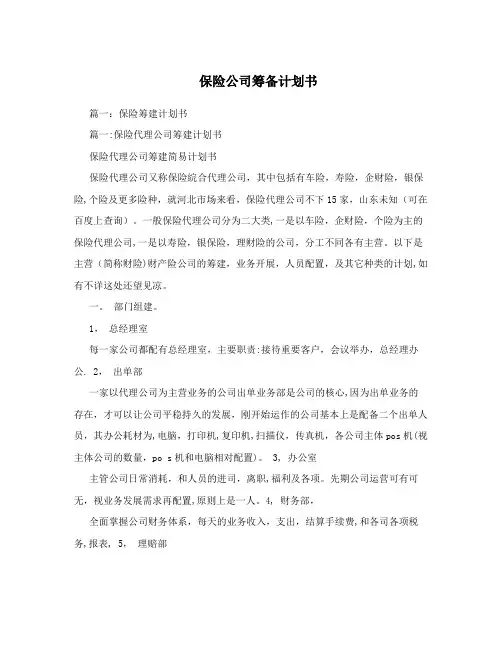保险公司筹备计划书