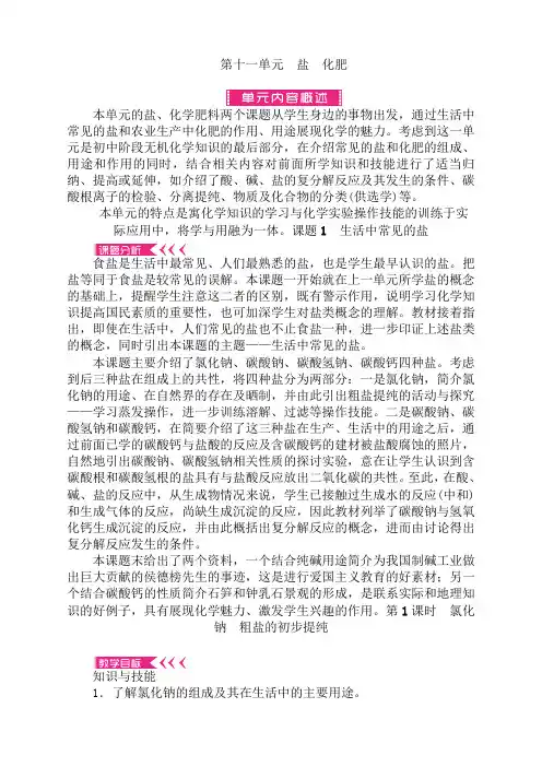 第十一单元《盐 化肥》教案
