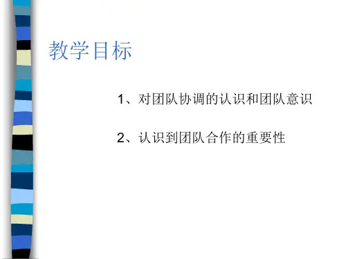 迷失丛林游戏