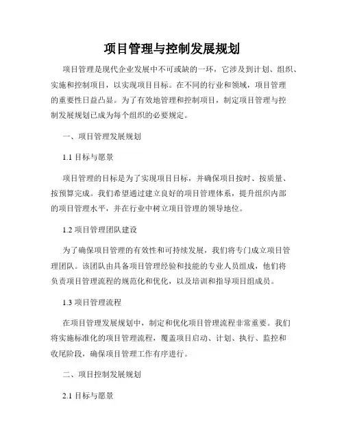 项目管理与控制发展规划