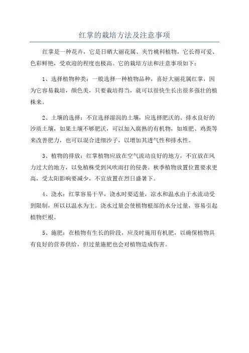 红掌的栽培方法及注意事项