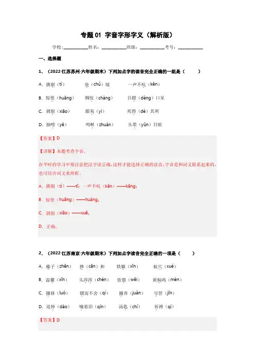 专题01 字音字形字义辨析-语文专项训练试卷(解析版)