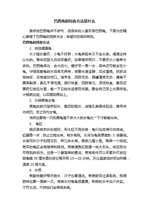 巴西龟的饲养方法是什么