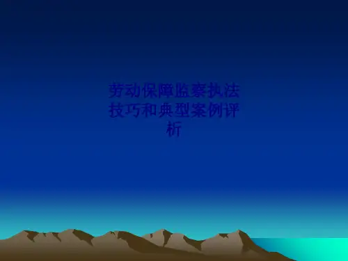 劳动保障监察执法技巧和典型案例评析专题培训课件