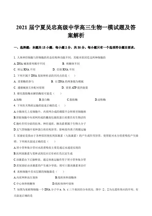 2021届宁夏吴忠高级中学高三生物一模试题及答案解析