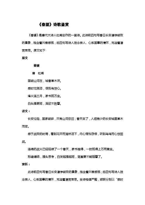 《春望》诗歌鉴赏