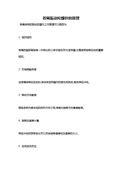 苍蝇振动陀螺仪的原理