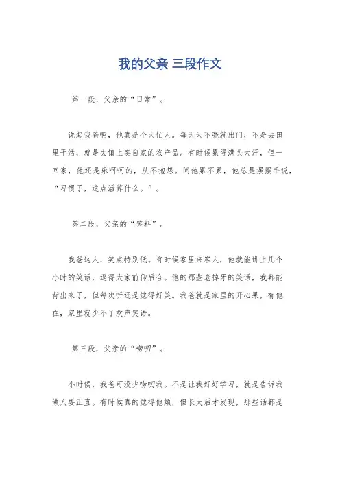 我的父亲 三段作文