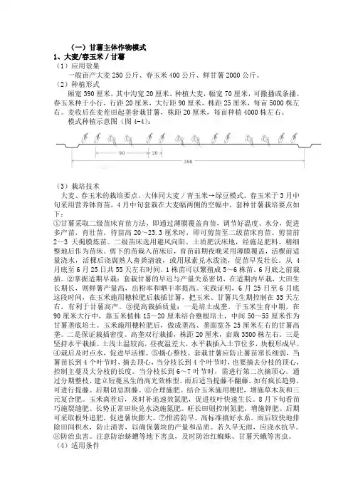 甘薯高效栽培模式