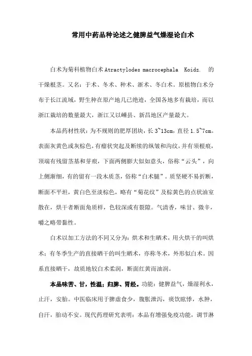 常用中药品种论述之健脾益气燥湿论白术