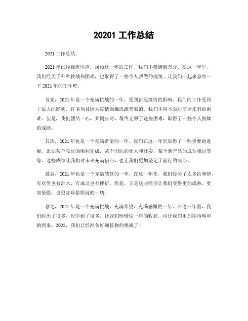 20201工作总结