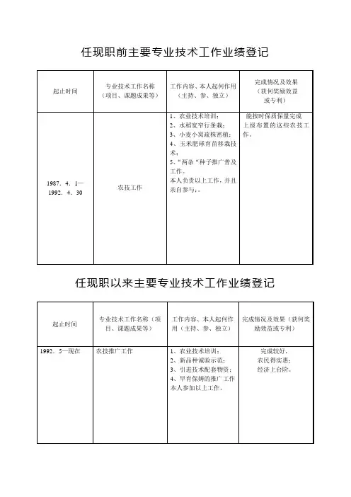 任现职前主要专业技术工作业绩登记