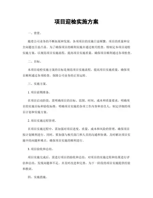 项目迎检实施方案