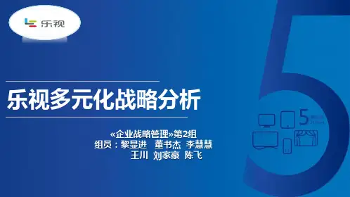 乐视集团战略分析