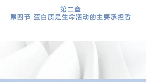 蛋白质是生命活动的主要承担者说课课件-高一上学期生物人教版(2019)必修1