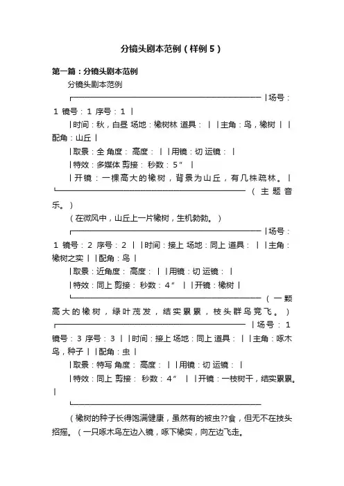 分镜头剧本范例（样例5）