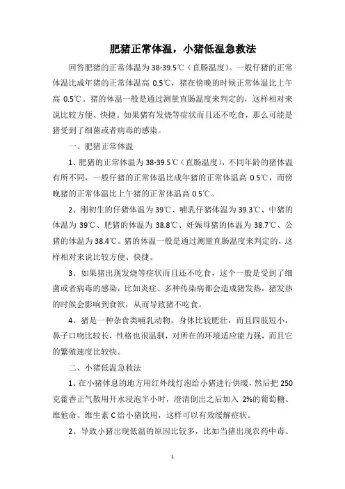 肥猪正常体温,小猪低温急救法