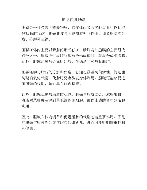 脂肪代谢胆碱