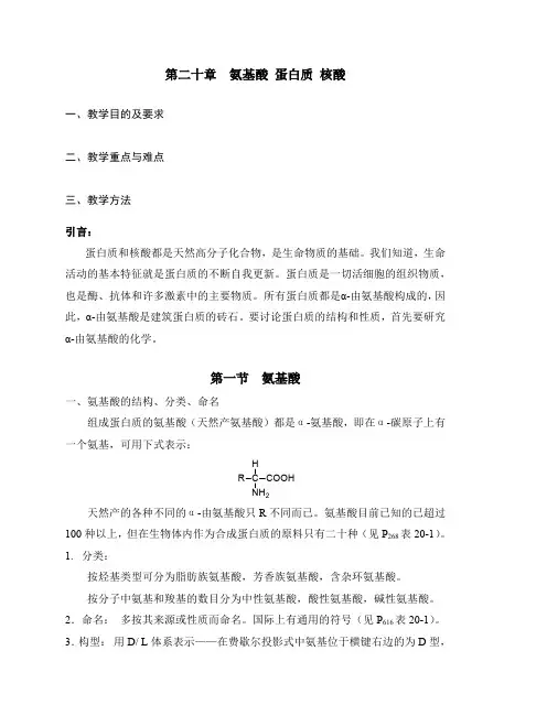 第二十章  氨基酸 蛋白质 核酸