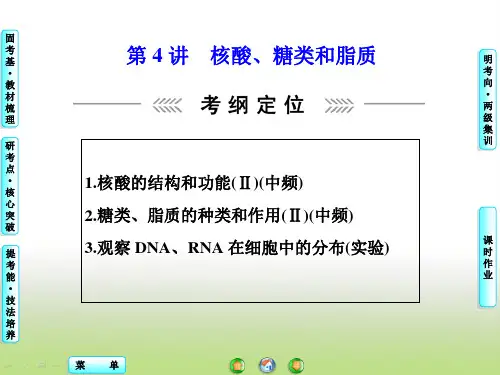 高考生物大一轮复习课件 必修1-第1单元-第4讲 核酸、糖类和脂质