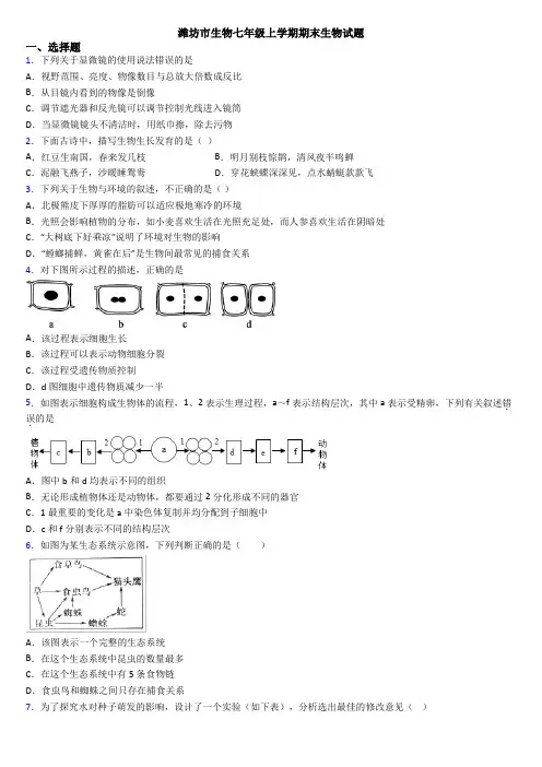 潍坊市生物七年级上学期期末生物试题