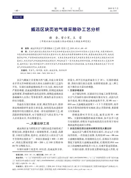 威远区块页岩气排采除砂工艺分析