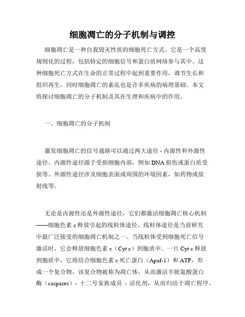 细胞凋亡的分子机制与调控