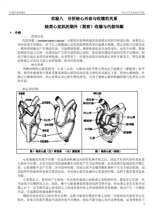 实验八 蛙类心室肌的期外(期前)收缩与代偿间歇