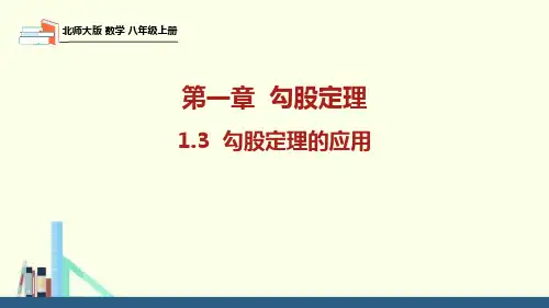 北师大版数学八年级上册勾股定理的应用课件