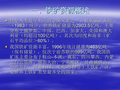 第二章铁矿床类型特征及资源评价