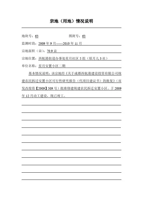 宗地情况说明总