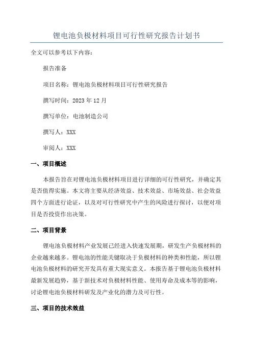 锂电池负极材料项目可行性研究报告计划书