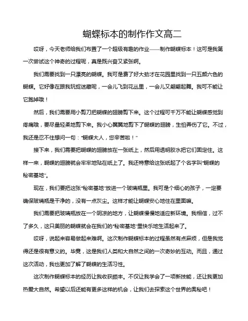 蝴蝶标本的制作作文高二