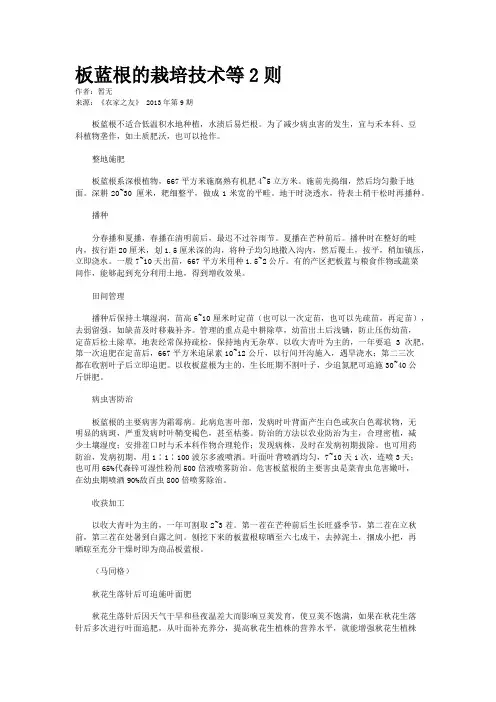 板蓝根的栽培技术等2则