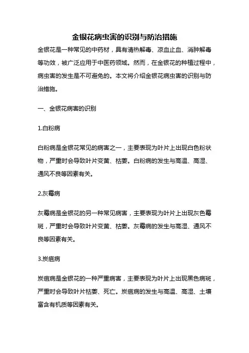 金银花病虫害的识别与防治措施