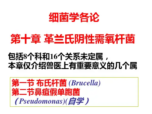 兽医微生物学-布氏杆菌+鼻疽假单胞菌