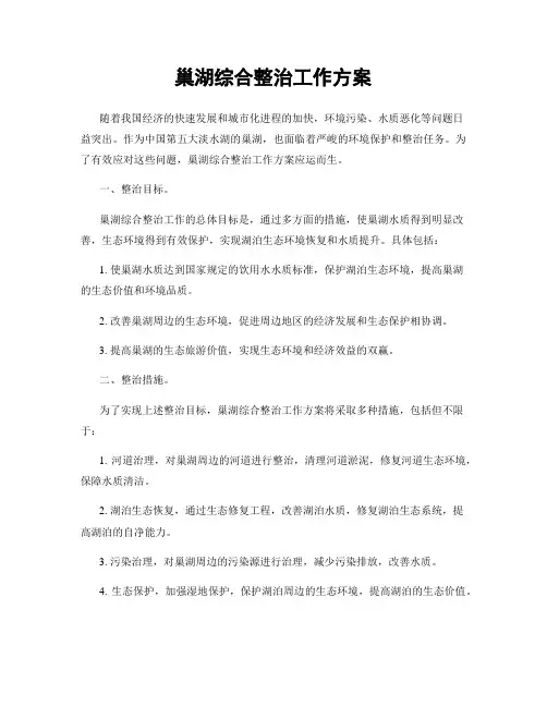 巢湖综合整治工作方案