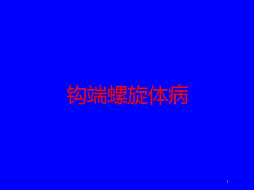 钩端螺旋体病培训ppt课件