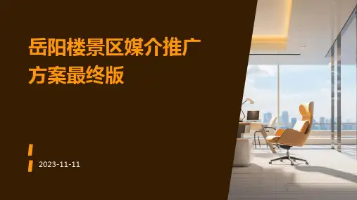 岳阳楼景区媒介推广方案最终版