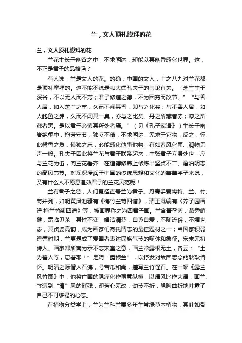 兰，文人顶礼膜拜的花